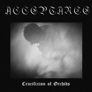 Acceptance