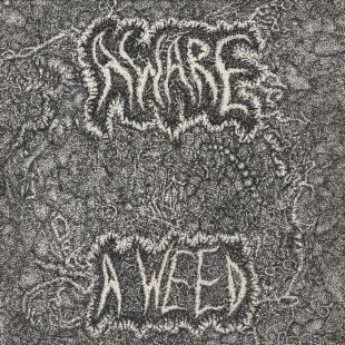 Aware