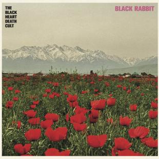 The Black Heart Death Cult