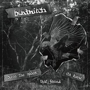 Birdwitch