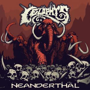 Celophys
