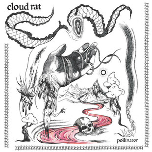 /incoming/cloudpoll.jpg