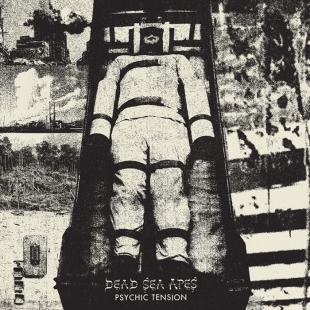 Dead Sea Apes