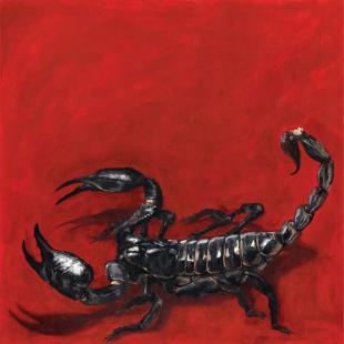Field of Fear