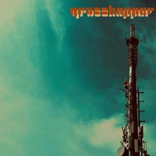 Grasshopper