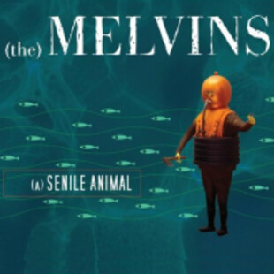  /incoming/melvins.png