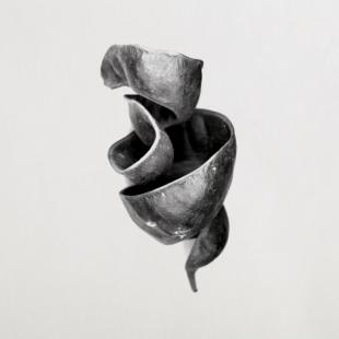 Möbius