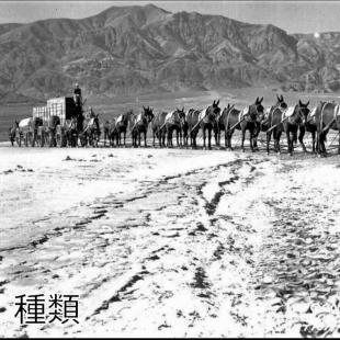 Mule Thrower