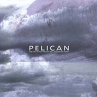 /incoming/pelican.jpg
