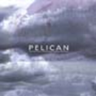  /incoming/pelican90.jpg
