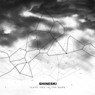 /incoming/shineski.jpg