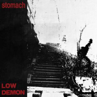 Stomach